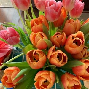 Meet your Posher, Debra